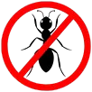 Ant Control Langwarrin