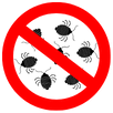 Bed Bug Control Langwarrin