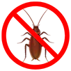 Cockroach Control Langwarrin