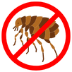 Flea Control Langwarrin