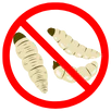 Maggot Control Langwarrin