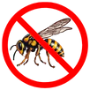 Wasp Control Langwarrin